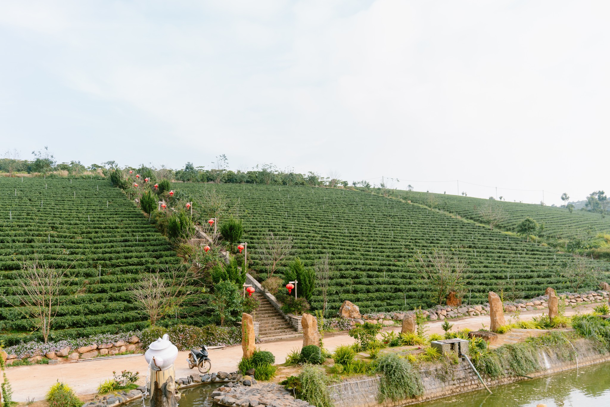 Địa Hình Định Giá Trà