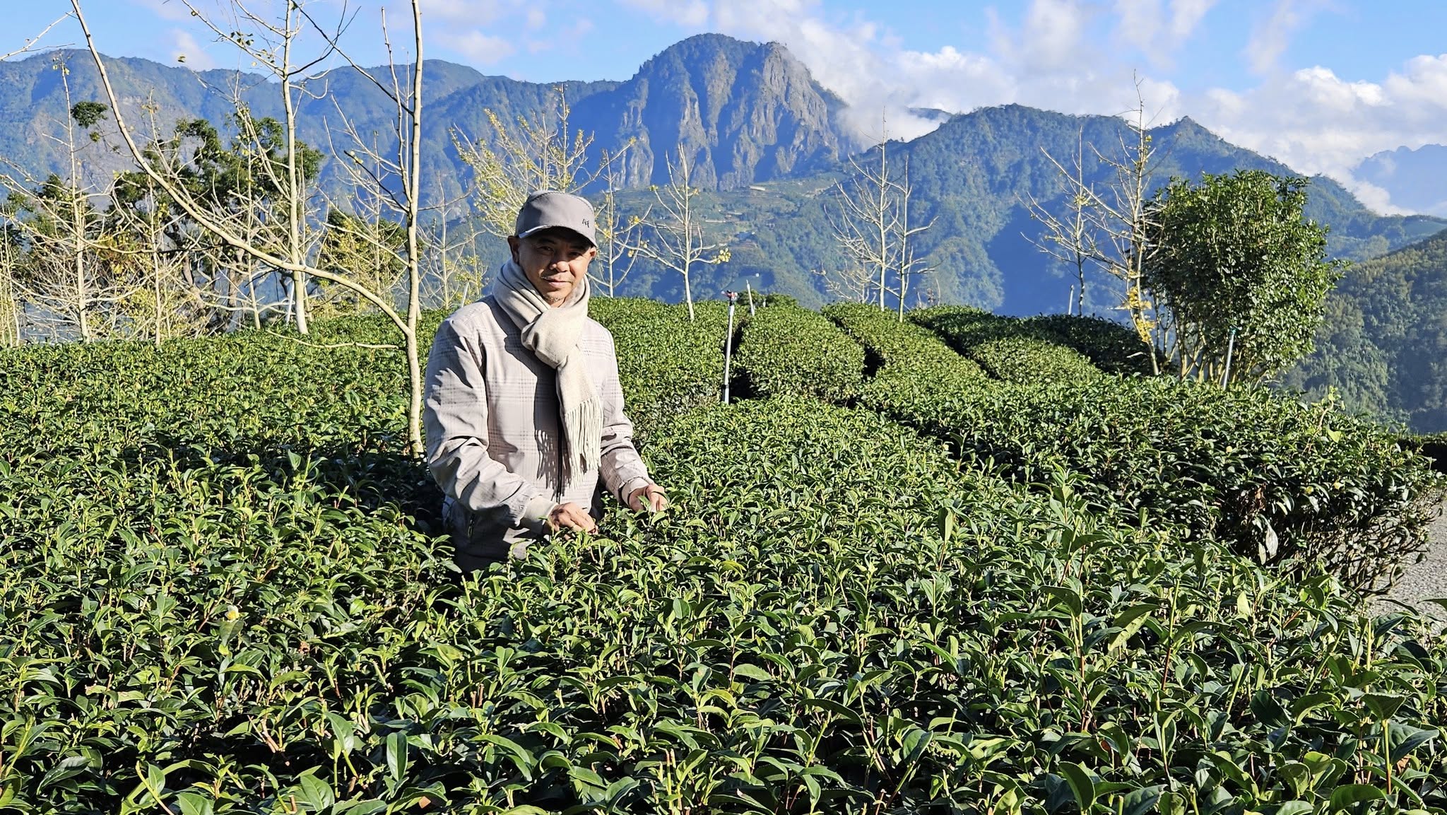 CÁch NhÂn GiỐng CÂy TrÀ