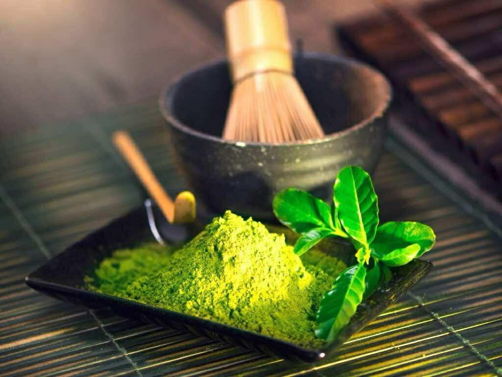 Quy Trình Trồng Và Chế Biến Matcha